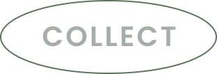 collect